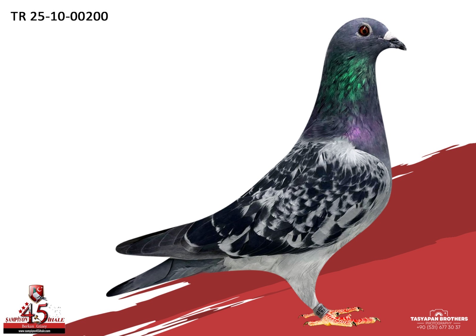 TR-25-10-00200 ORG ERKAN ÖZSEYHAN ANNESİ URLA MASTER 460 KM FİNAL 11 AS KLASMAN 8