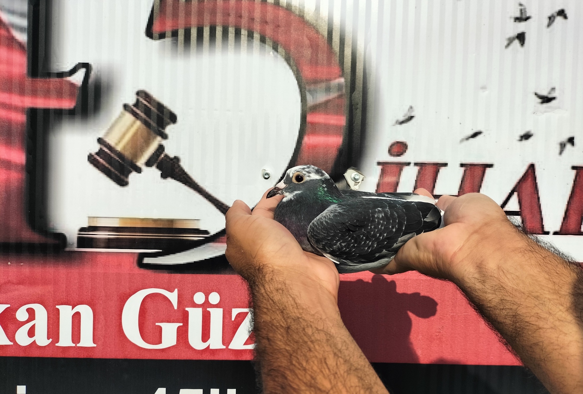 TR-10-04032 NECMİ ÇAKAR 