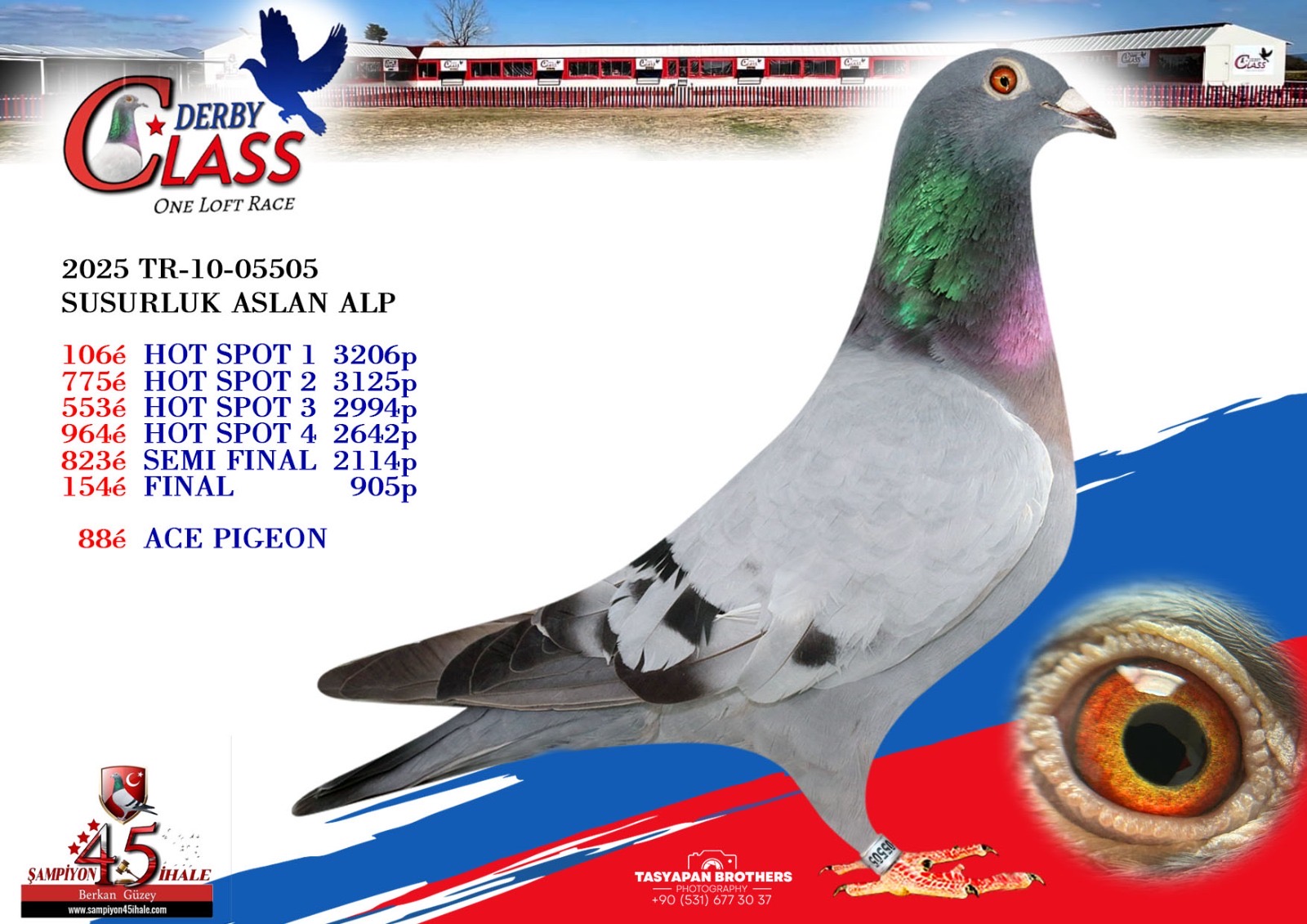 TR-10-05505 SUSURLUK ASLAN ALP