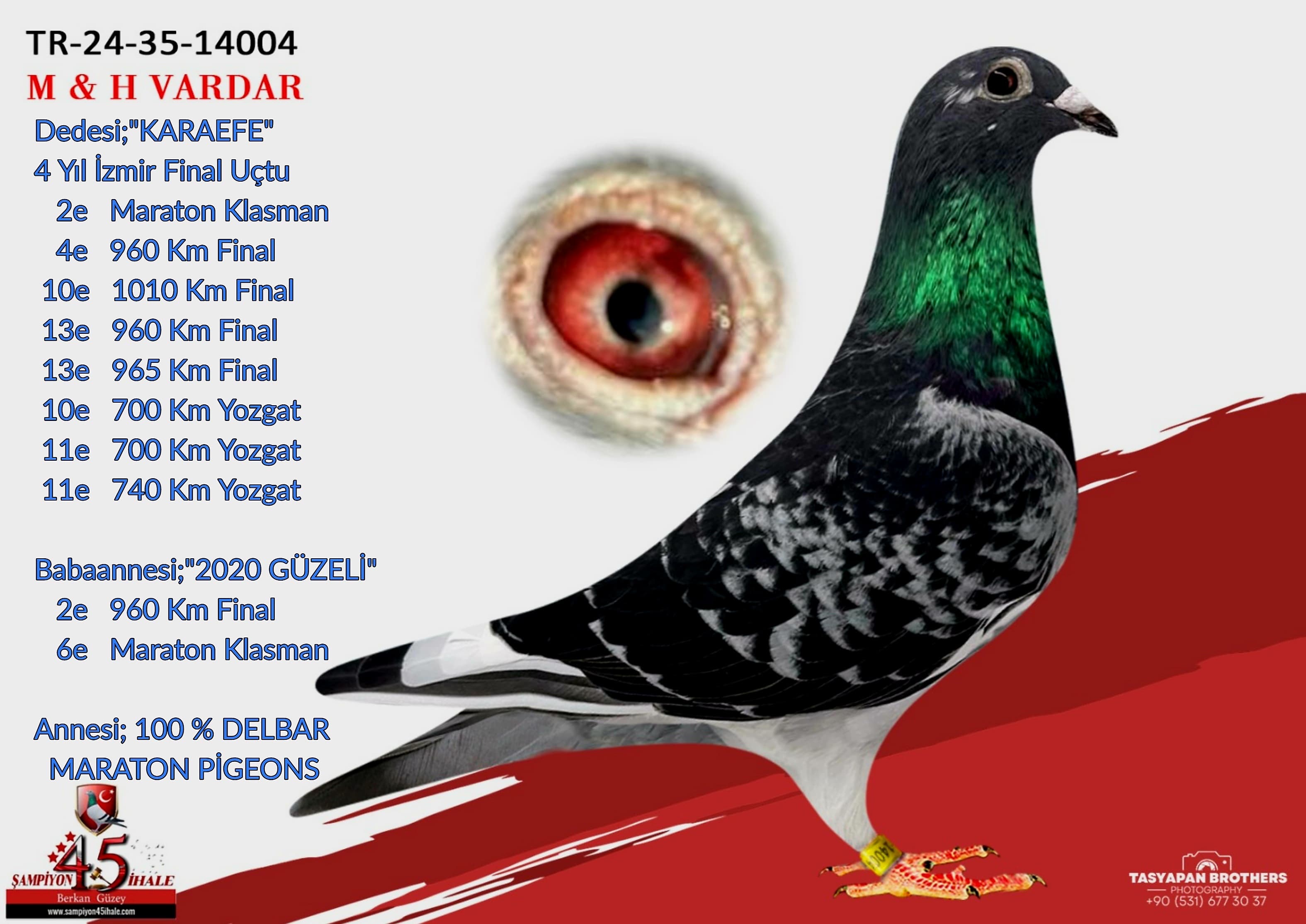 TR-24-35-14004 M & H VARDAR KARDEŞLER KARA EFE 