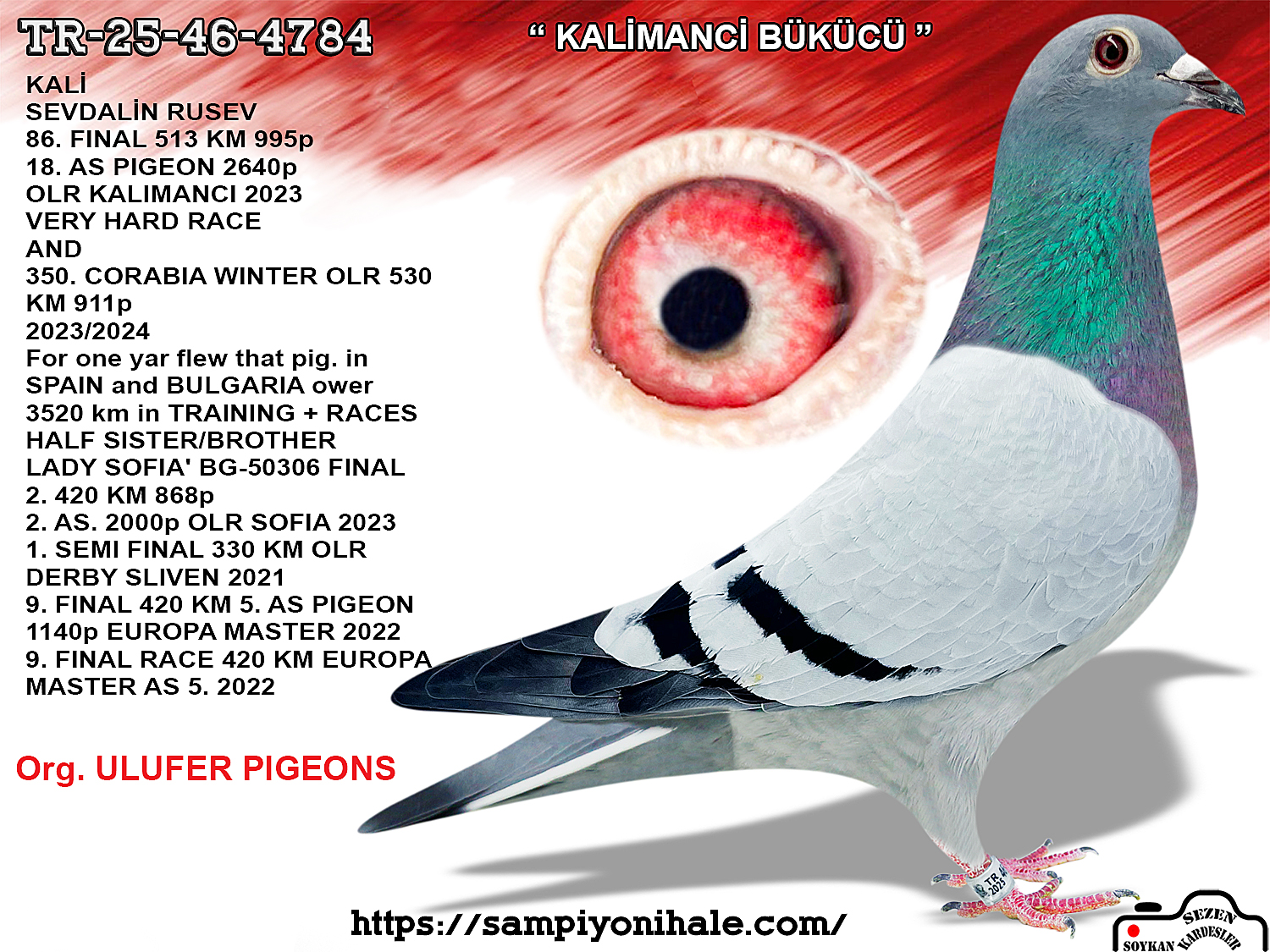 TR-25-46-4784 KRAL HEINZ WİCHERT SEVDALİN RUSEV