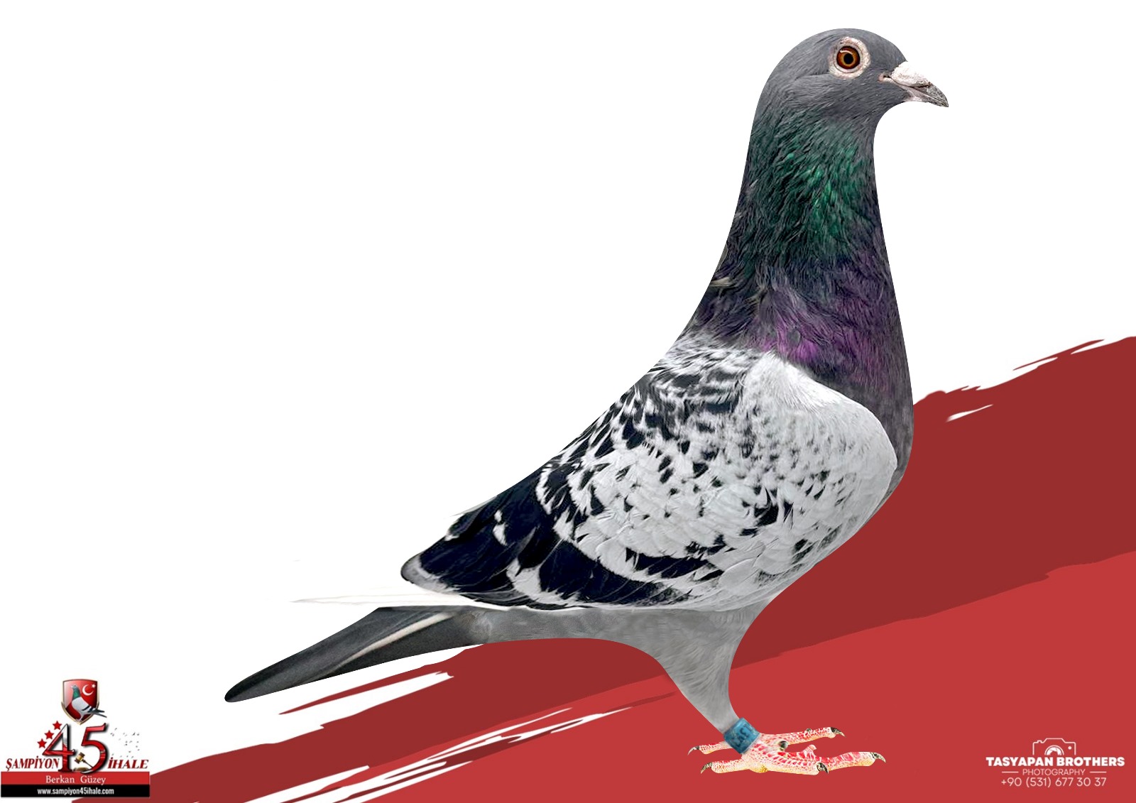 TR-21-139317 GÜNTER PRANGE PETER VAN DE MERVE 