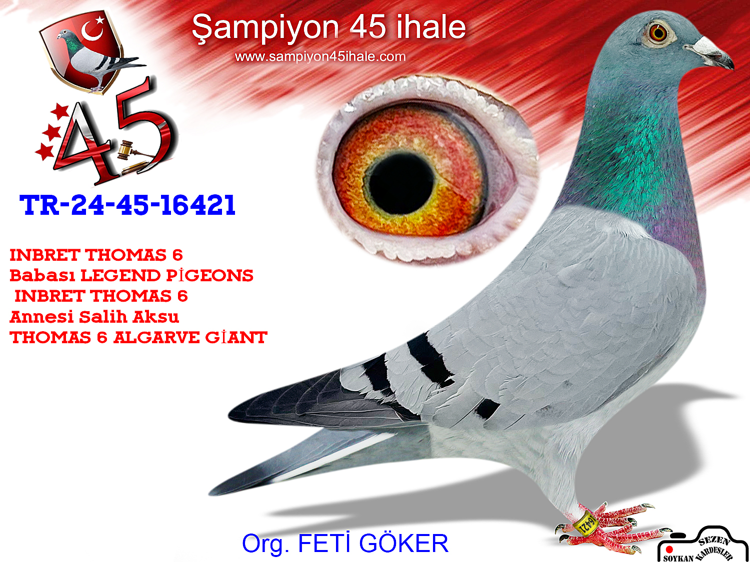 TR-24-45-16421 DİŞİ