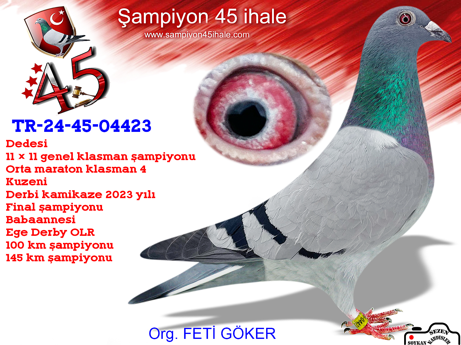 TR-24-45-04423 DİŞİ