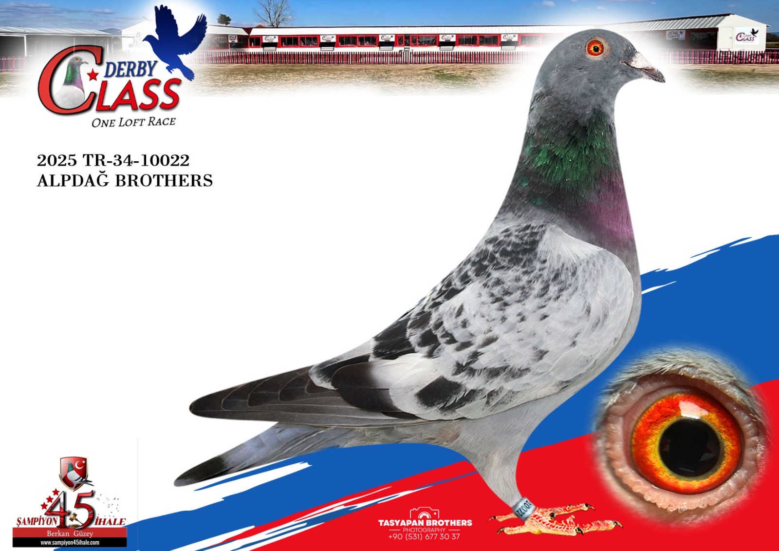 TR-34-10022 ALPDAĞ BROTHERS