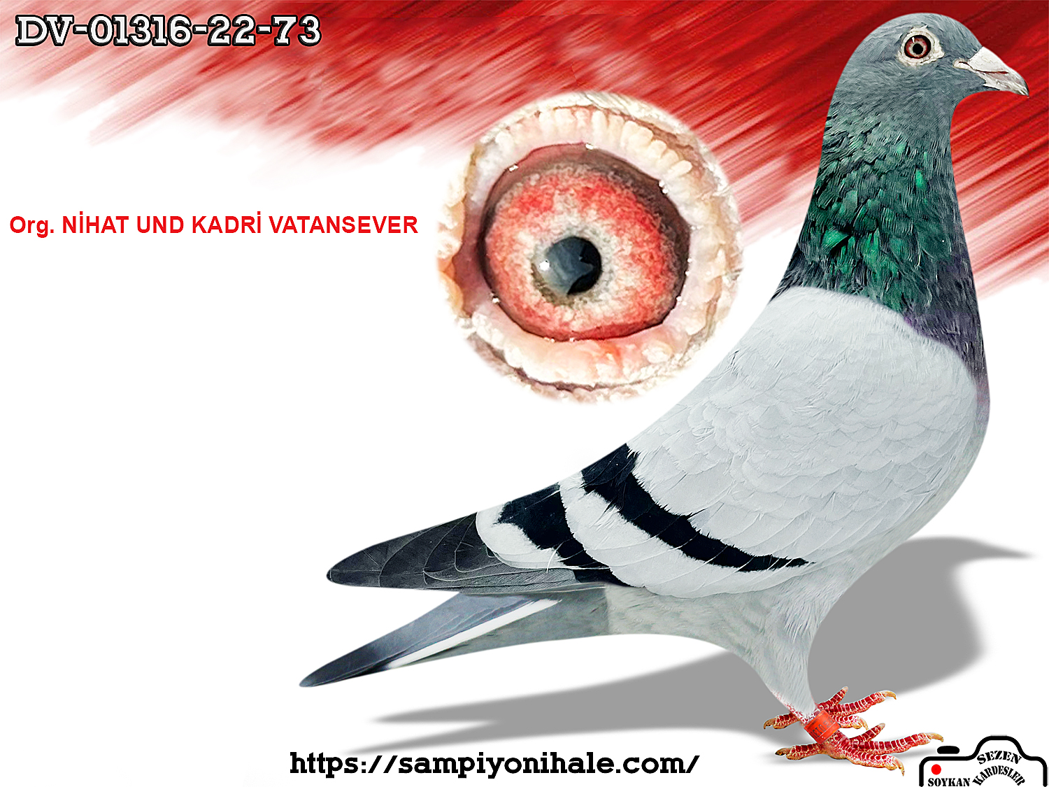 DV-01316-22-73 ORG NİHAT UND KADRİ VATANSEVER 