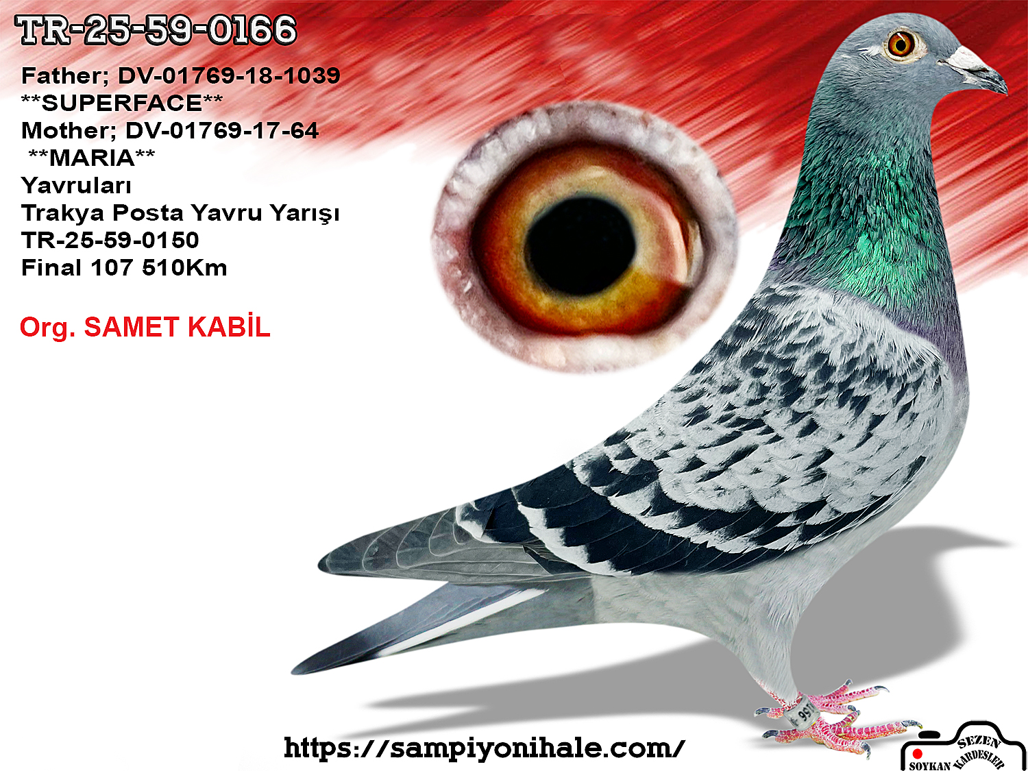 TR-25-59-0166 SUPERFACE HARDY KRÜGER 