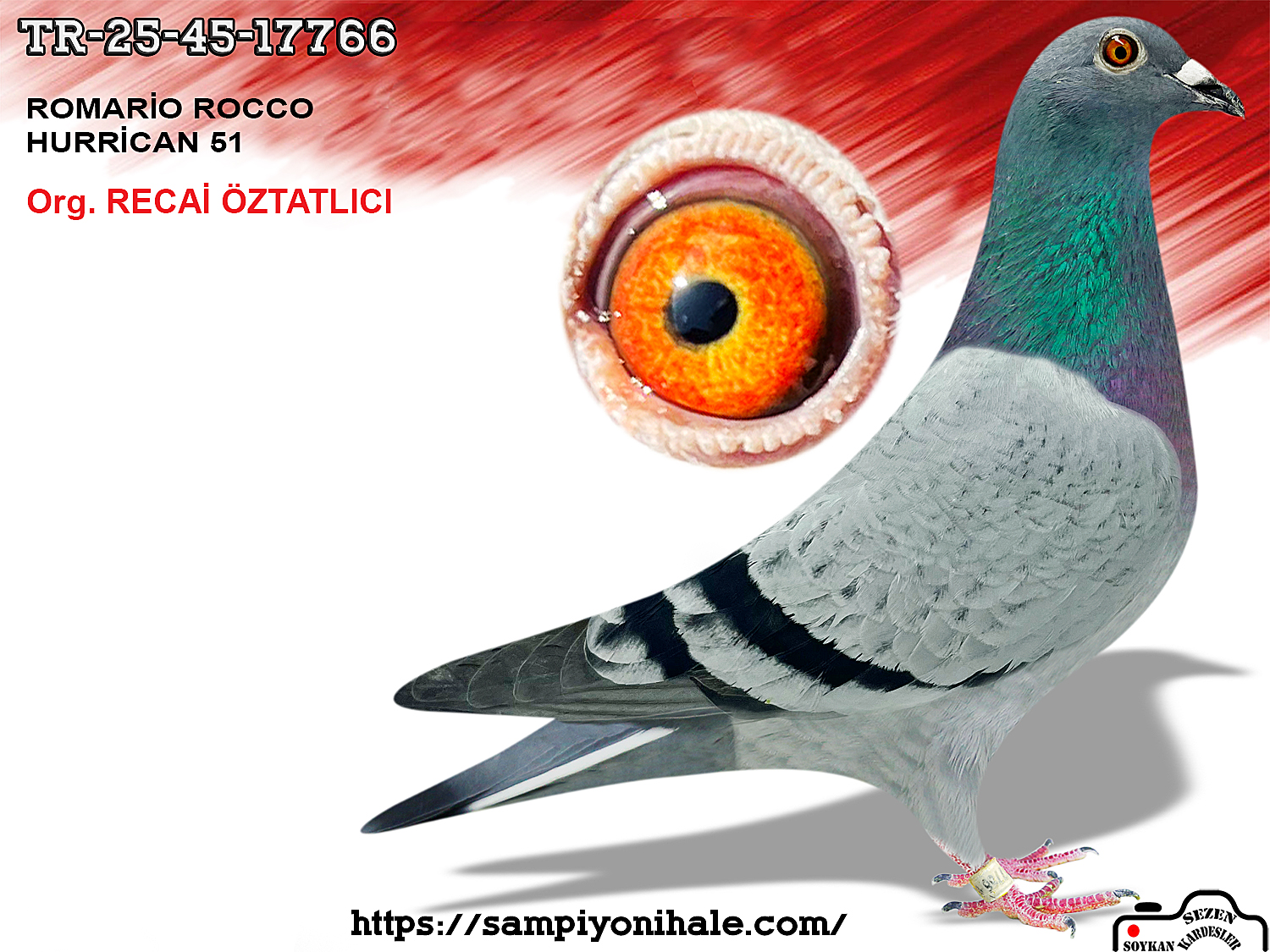 TR-25-45-17766 ROMARİO ROCCO HURRİCAN 51 