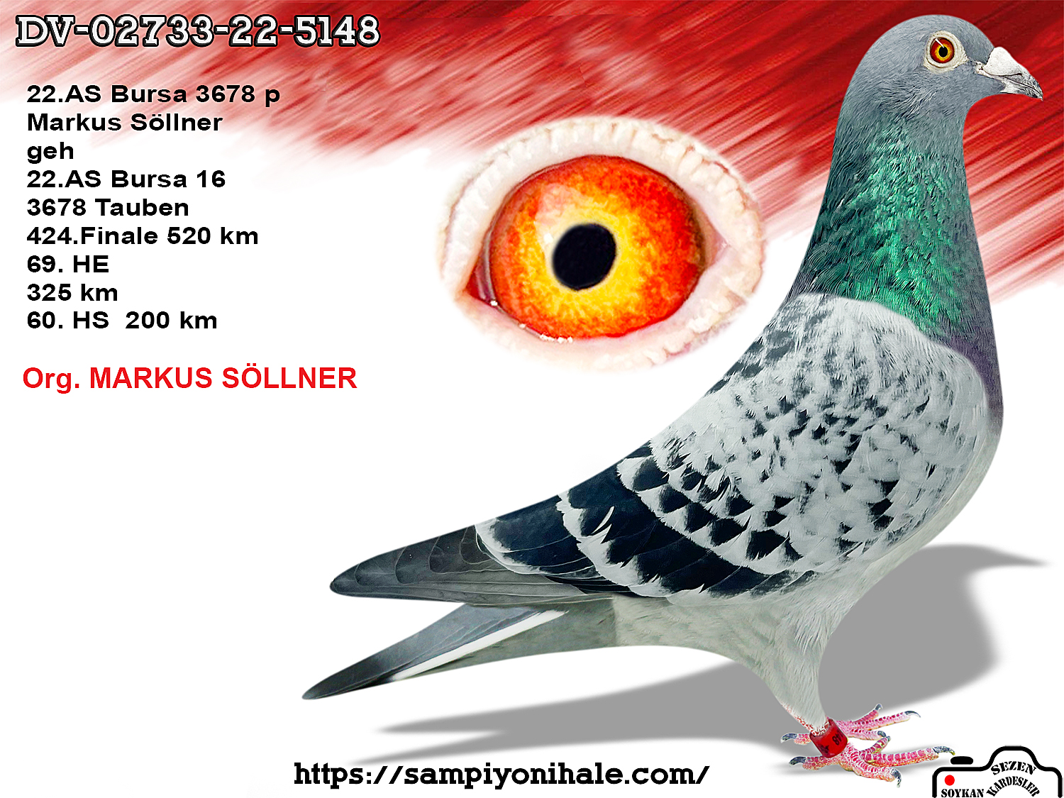 DV-02733-22-5148 MARKUS SÖLLNER 