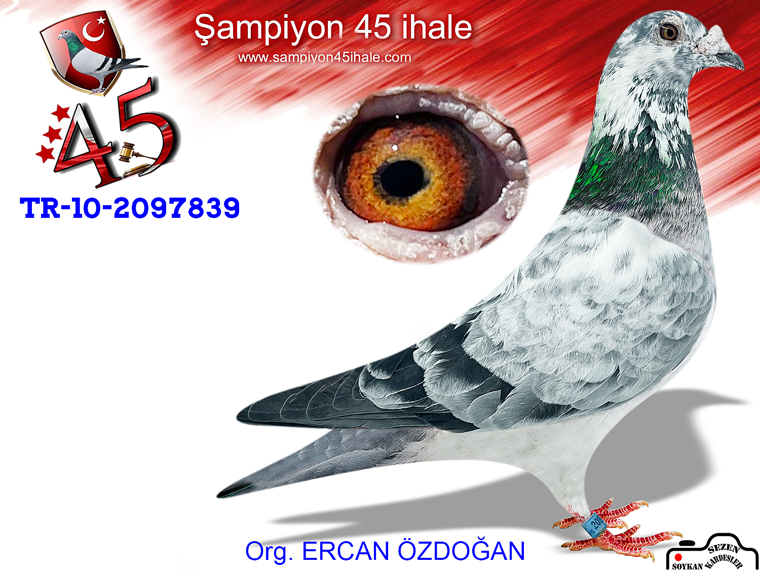 TR-10-2097839 ERKEK 