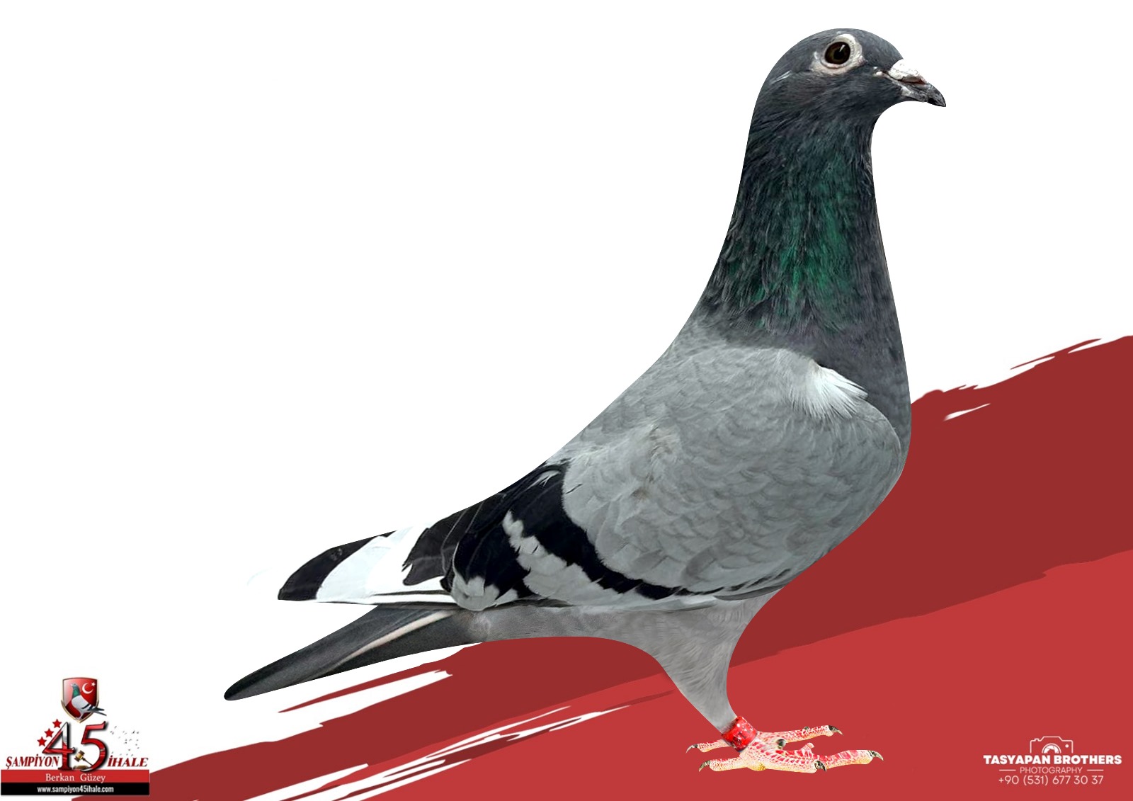 TR-22-21-11840 DUMAN KESS BOSUA