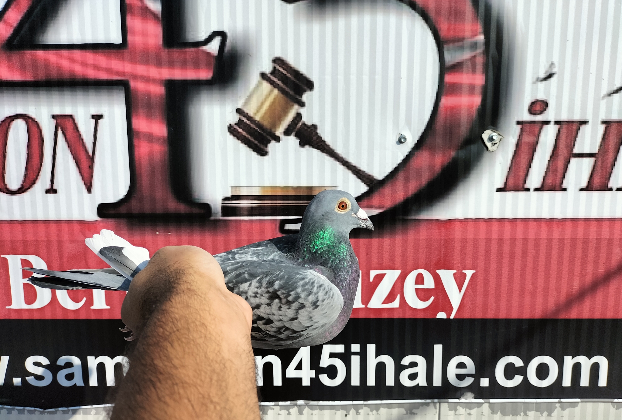 TR-24-35-01061 KİTTEL GOED ROOD