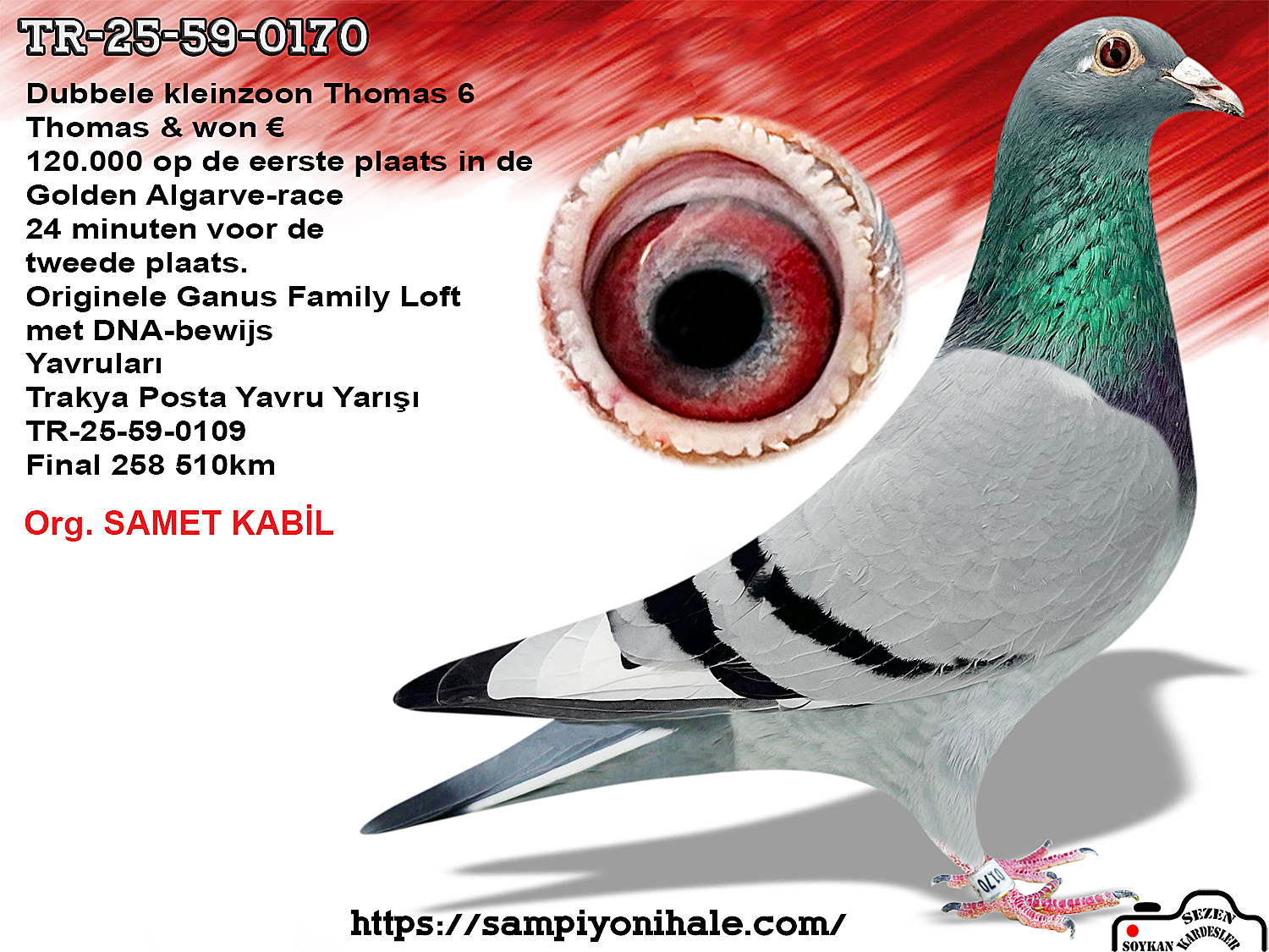 TR-25-59-0170 PORSCHE 911 THOMAS 6 