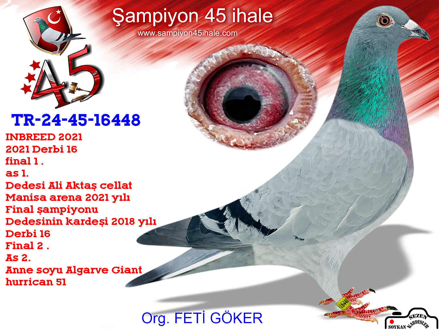 TR-24-45-16448 ERKEK