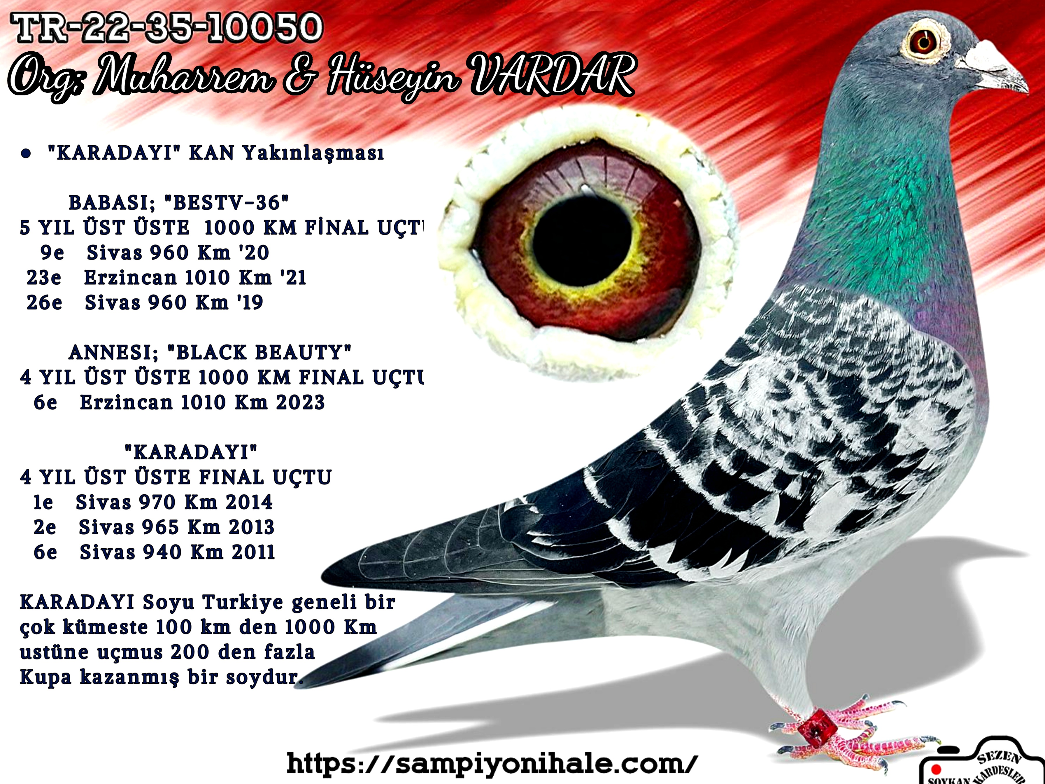 TR-22-35-10050 M&H VARDAR KARDEŞLER 