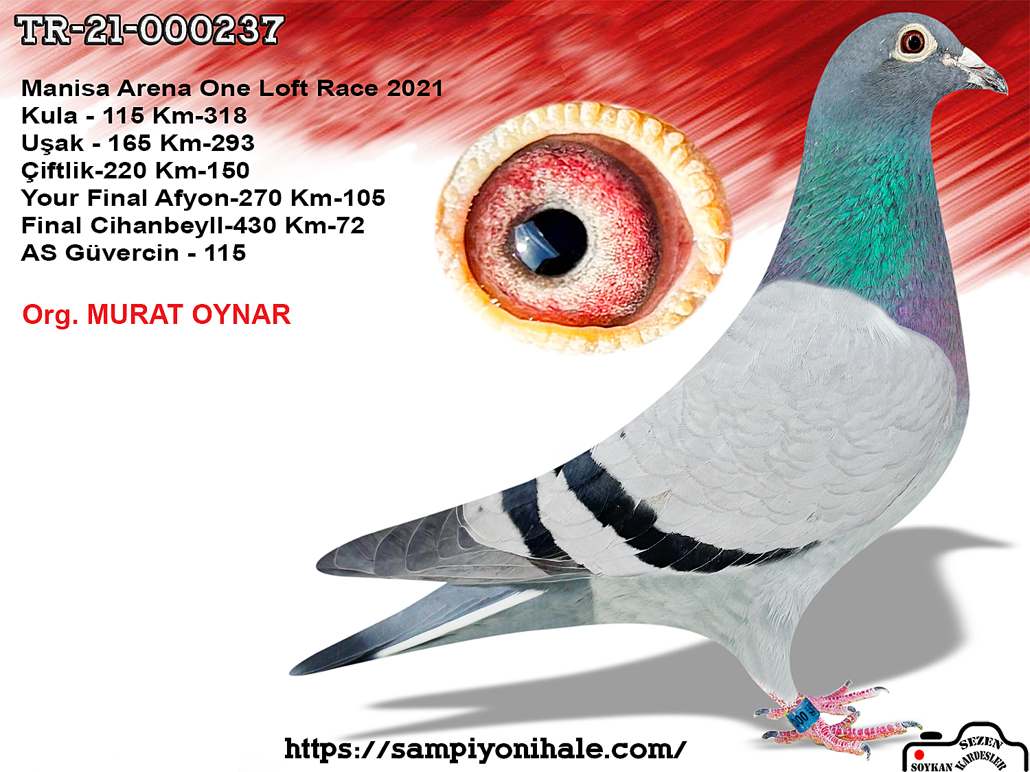 TR-21-000237 ORG MURAT OYNAR