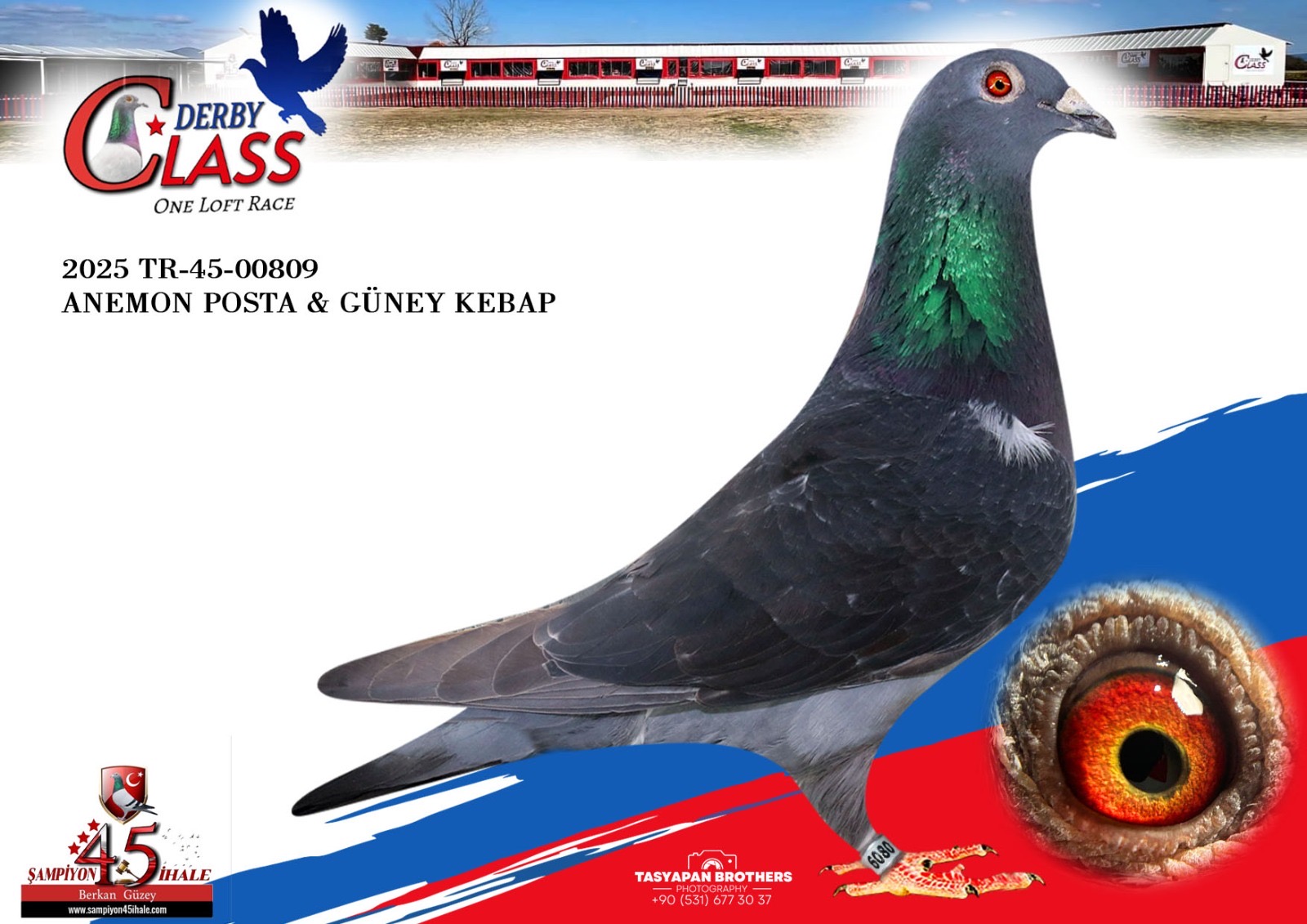 TR-45-00809 ANEMON POSTA GÜNEY KEBAP