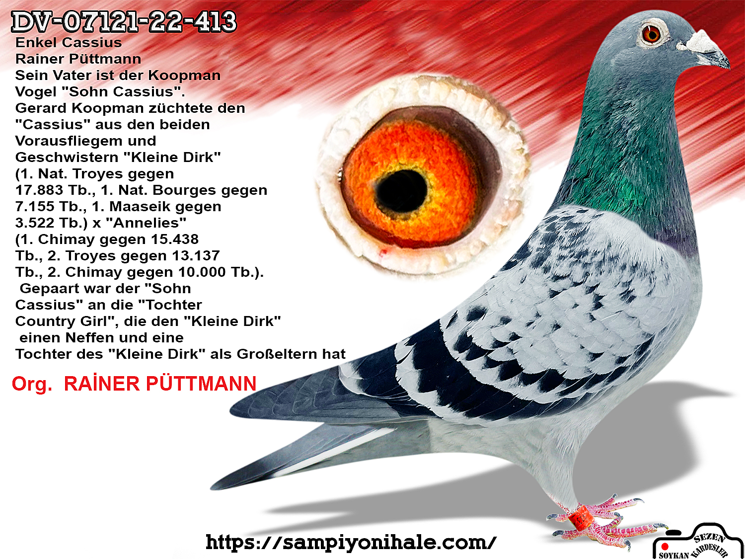 DV-07121-22-413 RAİNER FÜTTMANN HURRİCAN 51 
