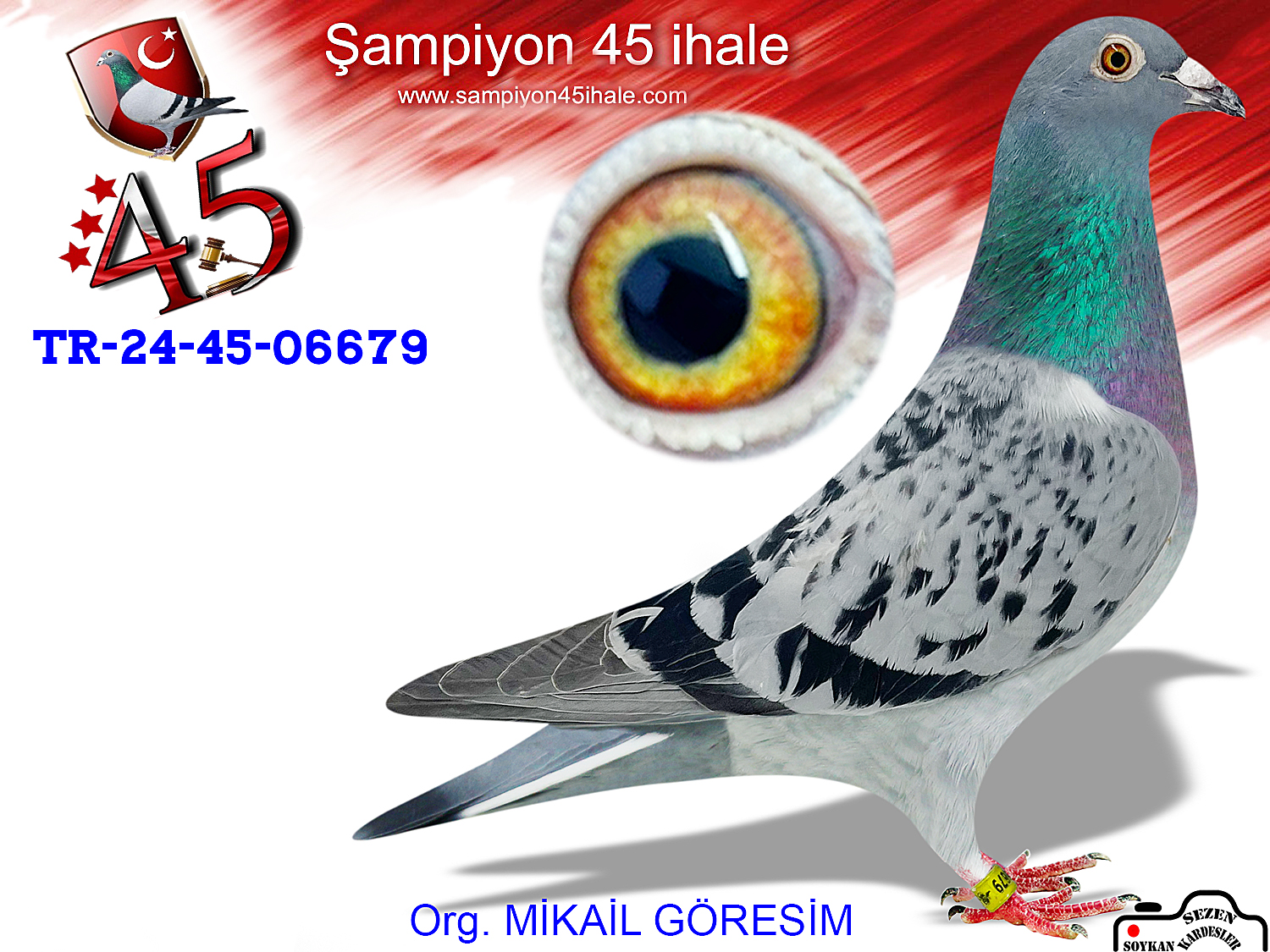 TR-24-45-06679 DİŞİ