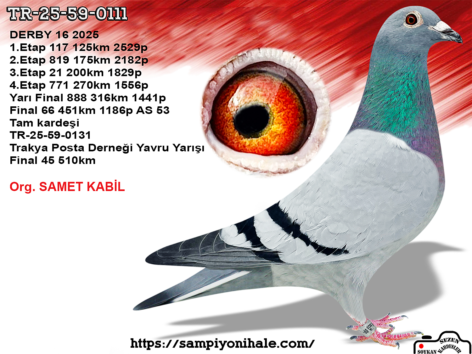 TR-25-59-0111 GANUS FAMİLY LOFT SG STEFFL 