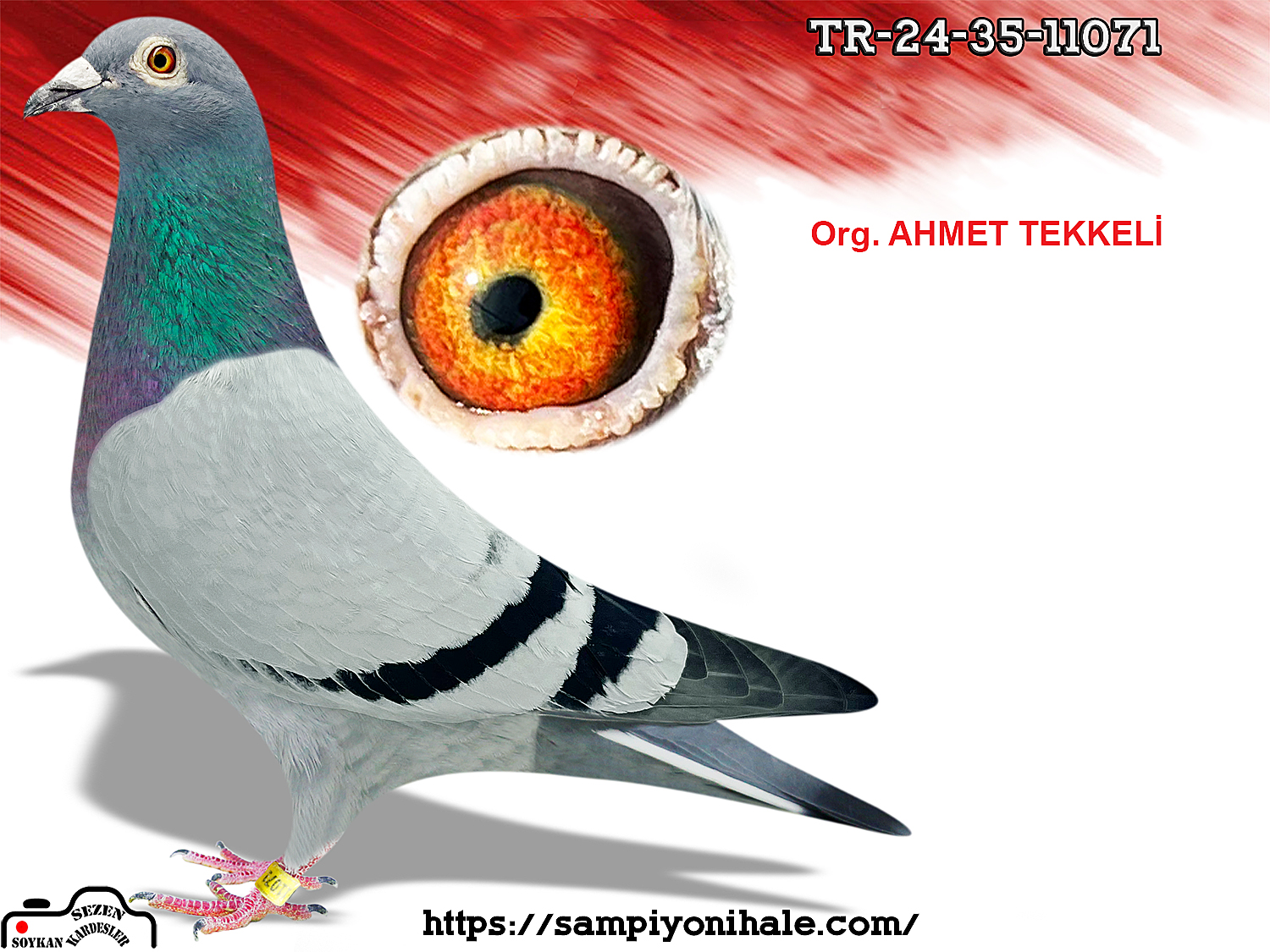 TR-24-35-11071 ORG AHMET TEKKELİ THOMAS 6 ROMARİO 