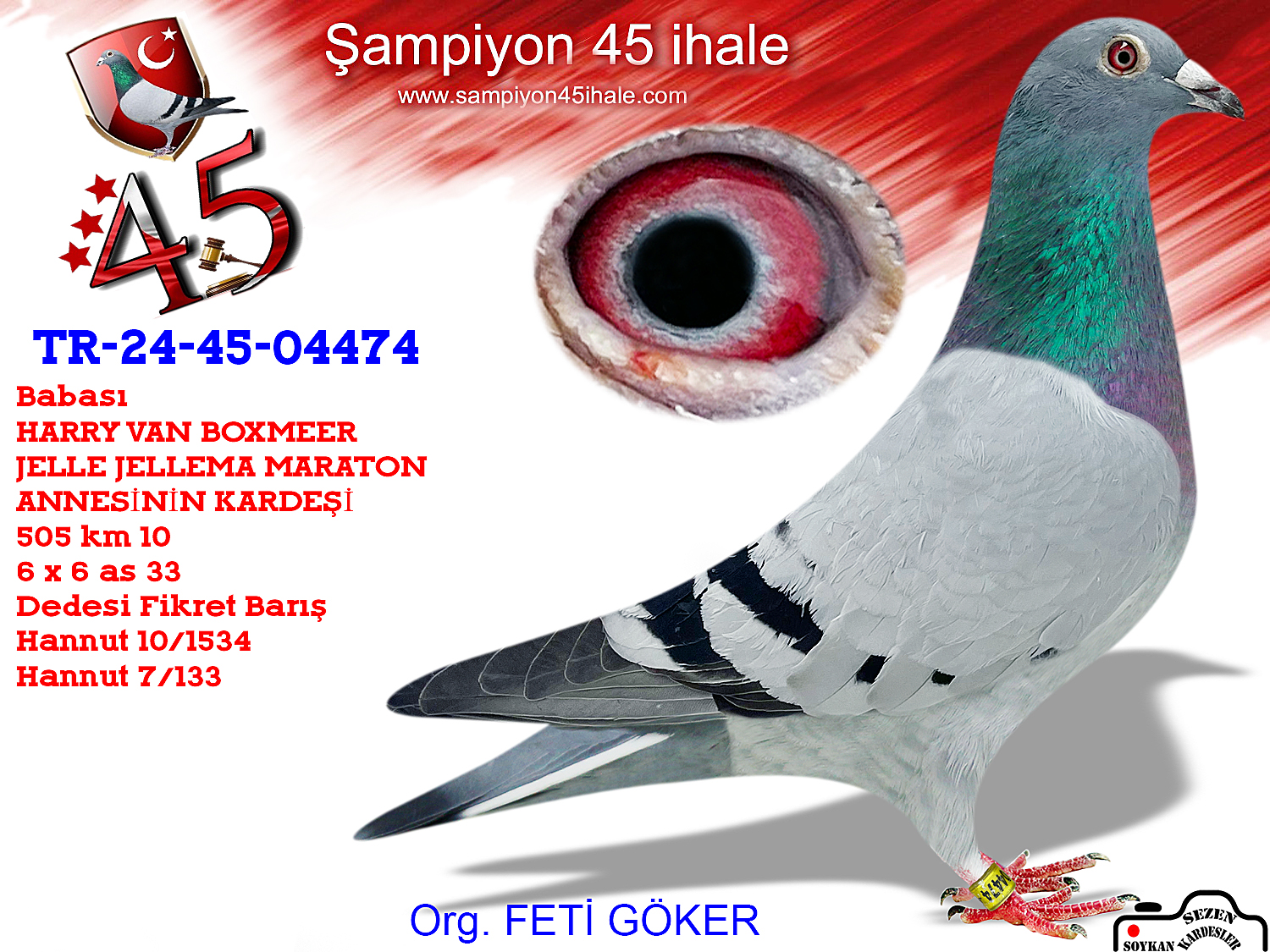 TR-24-45-04474 DİŞİ