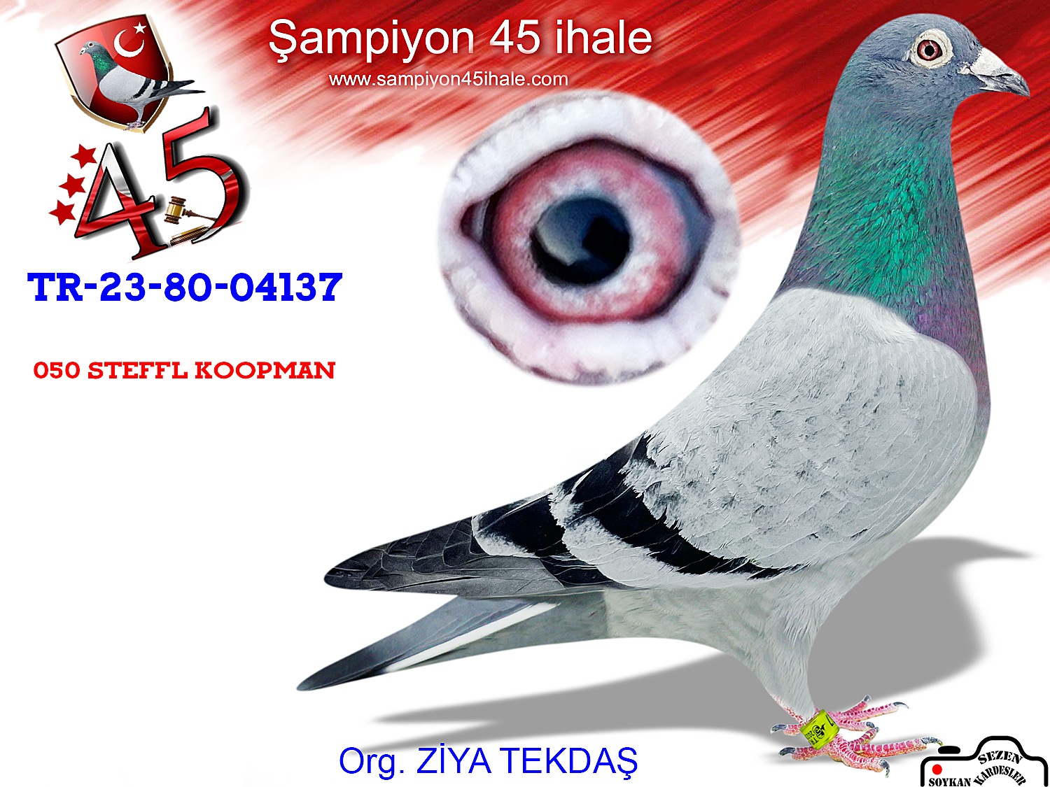 TR-23-80-04137 ERKEK 