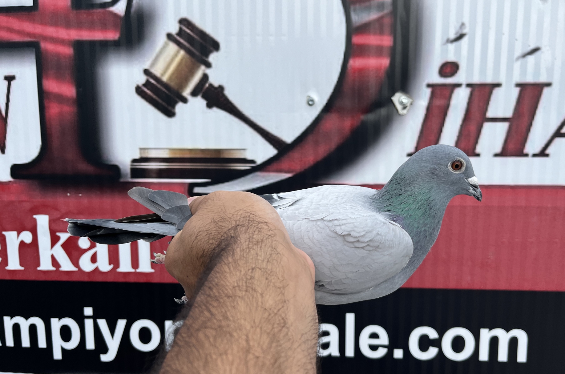 TR-25-16-20493 ORG SEZEN KARDEŞLER ZG HELİOS ZDENEK PAVLİK 