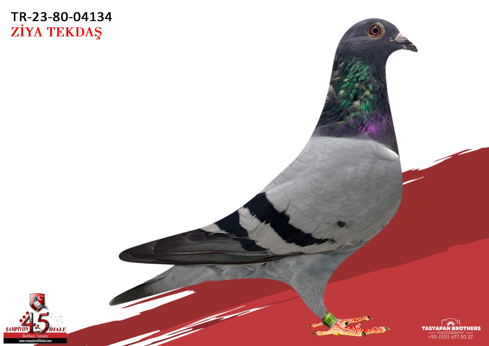 TR-23-80-04134 AFRİKAN 400 SG.STEFFL KOOPMAN 050