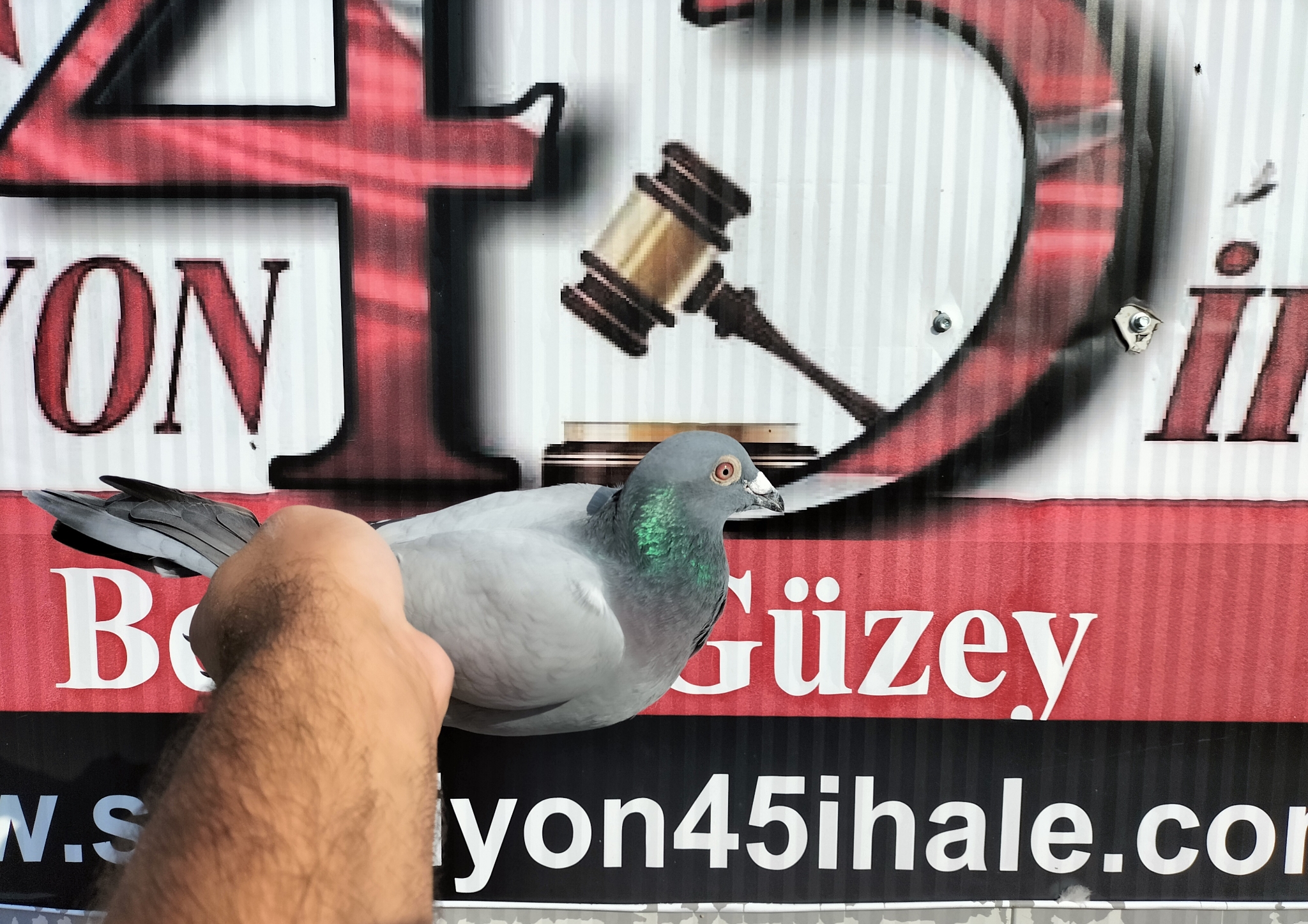 TR-24-45-14584 % 100 VAN LOON