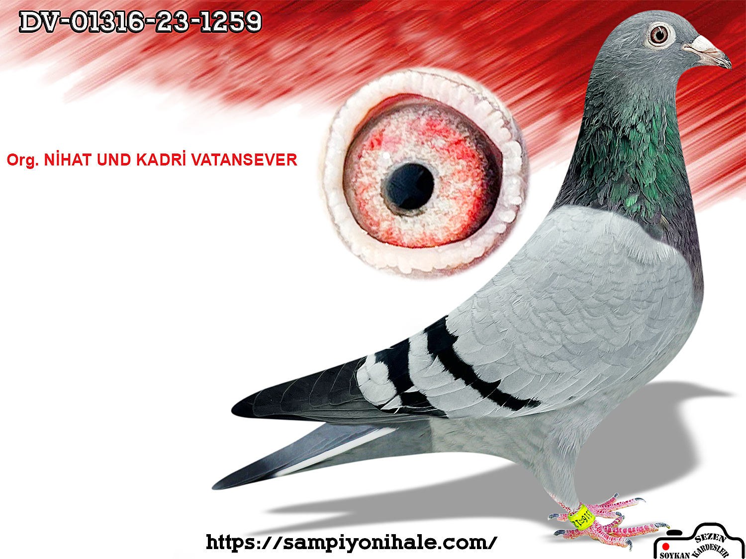 DV-01316-22-1259 ORG NİHAT UND KADRİ VATANSEVER 