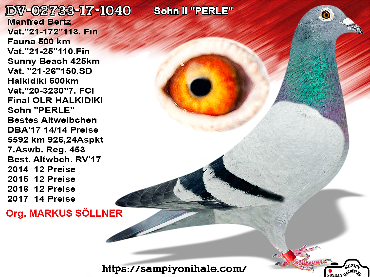 DV-02733-17-1040 MARKUS SÖLLNER 