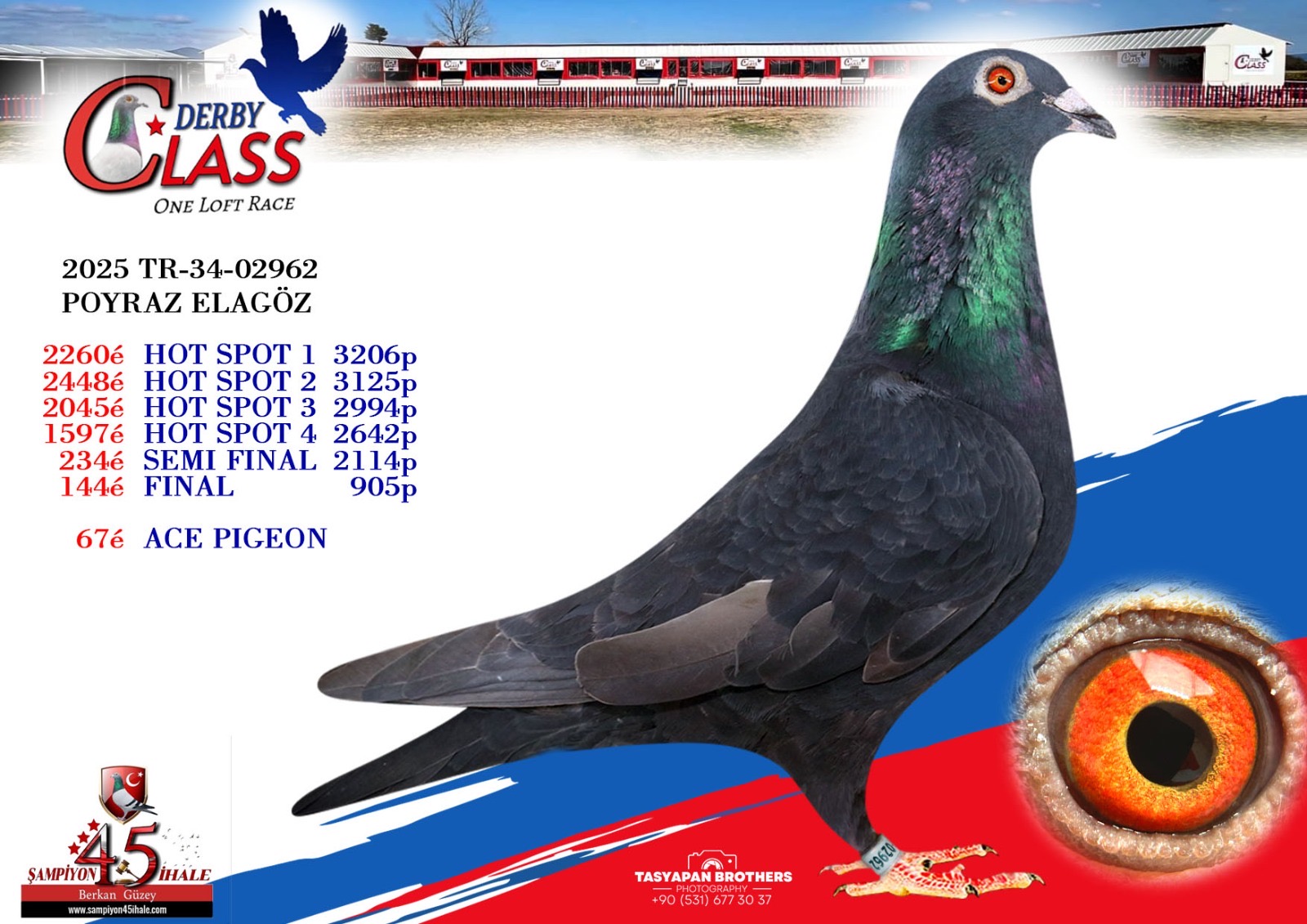 TR-34-02962 POYRAZ ELAGÖZ