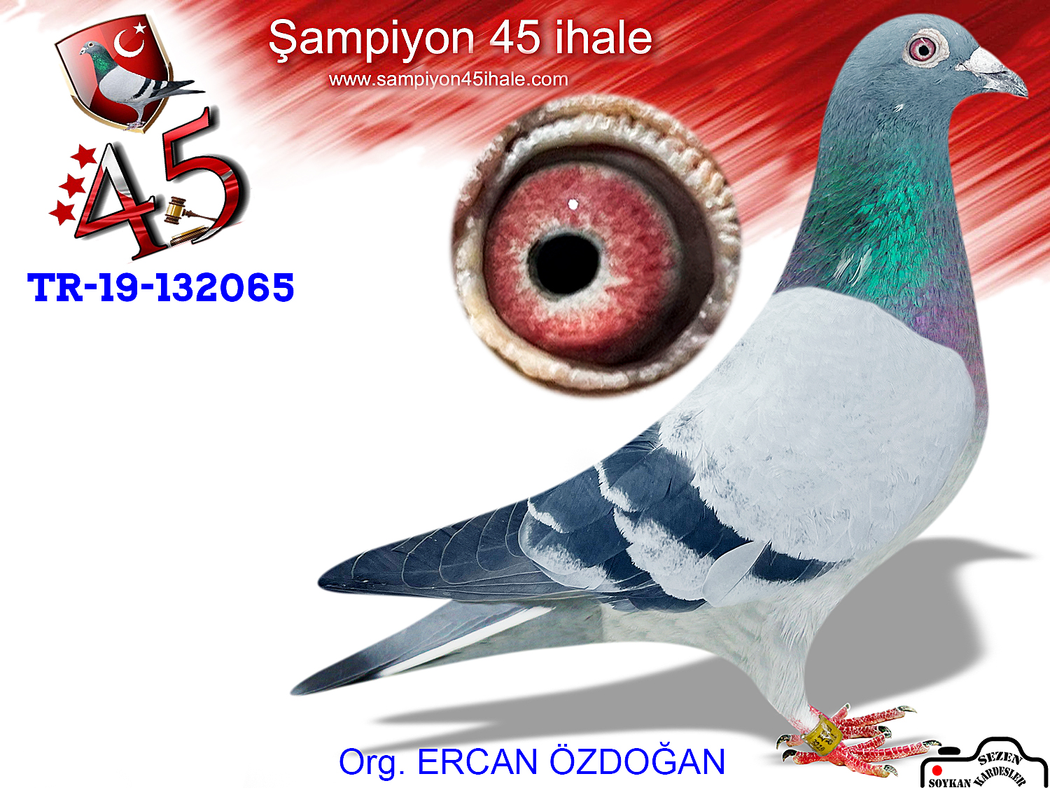 TR-19-132065 ERKEK 
