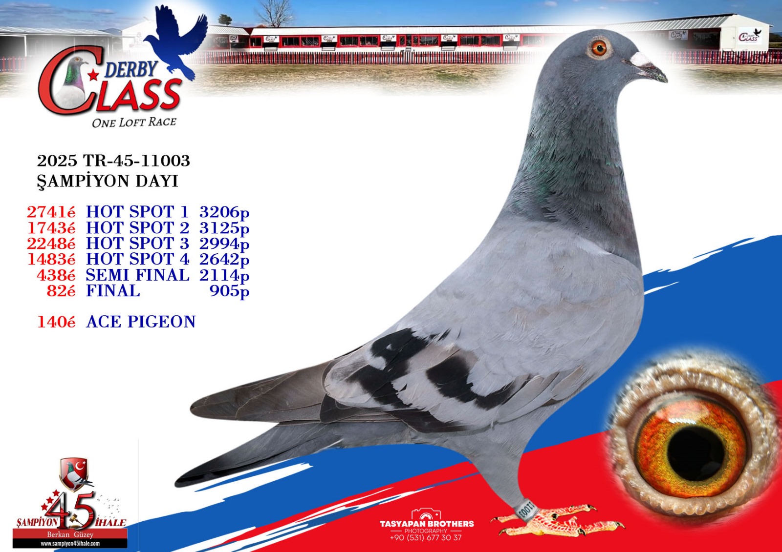 TR-45-11003 ŞAMPİYON DAYI