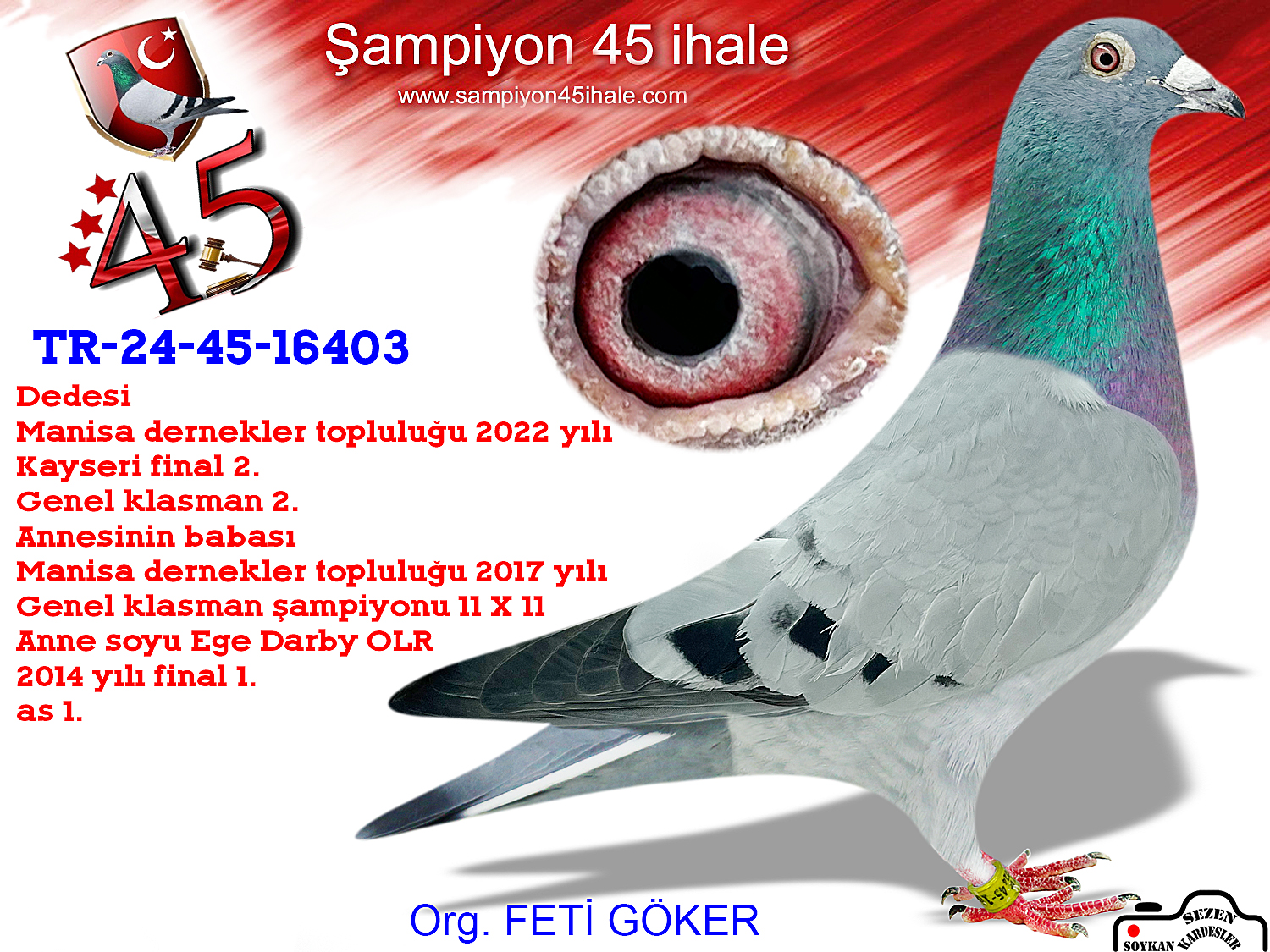 TR-24-45-16403 ERKEK