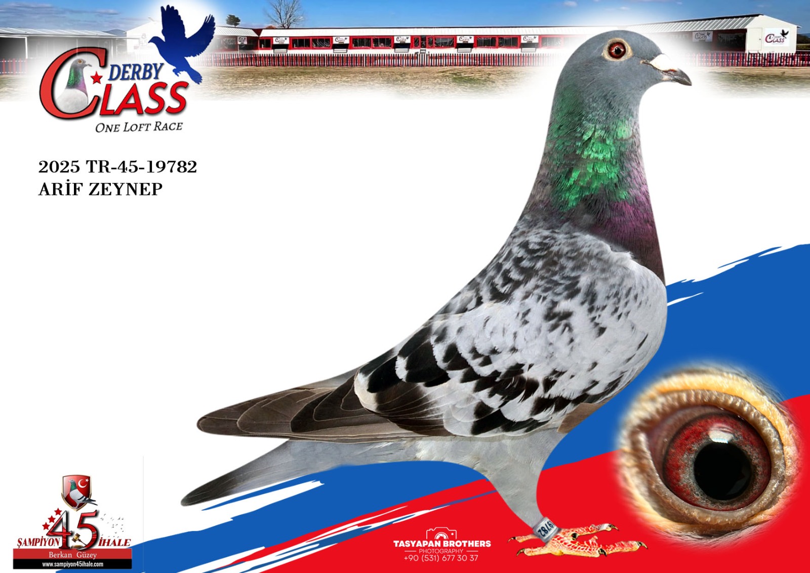 TR-45-19782 ARİF ZEYNEP 