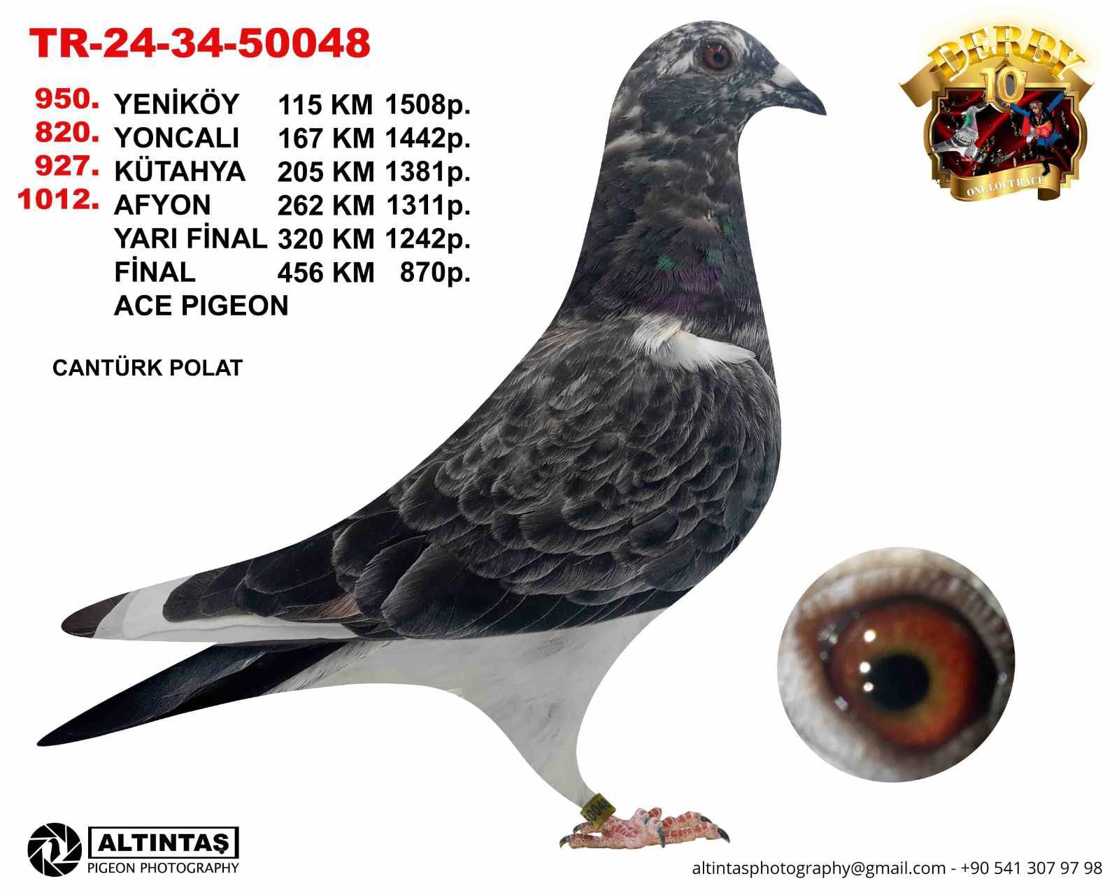 TR-24-34-50048 KARDEŞİ İSTANBUL DERBY 5 X5 AS KLASMAN 13