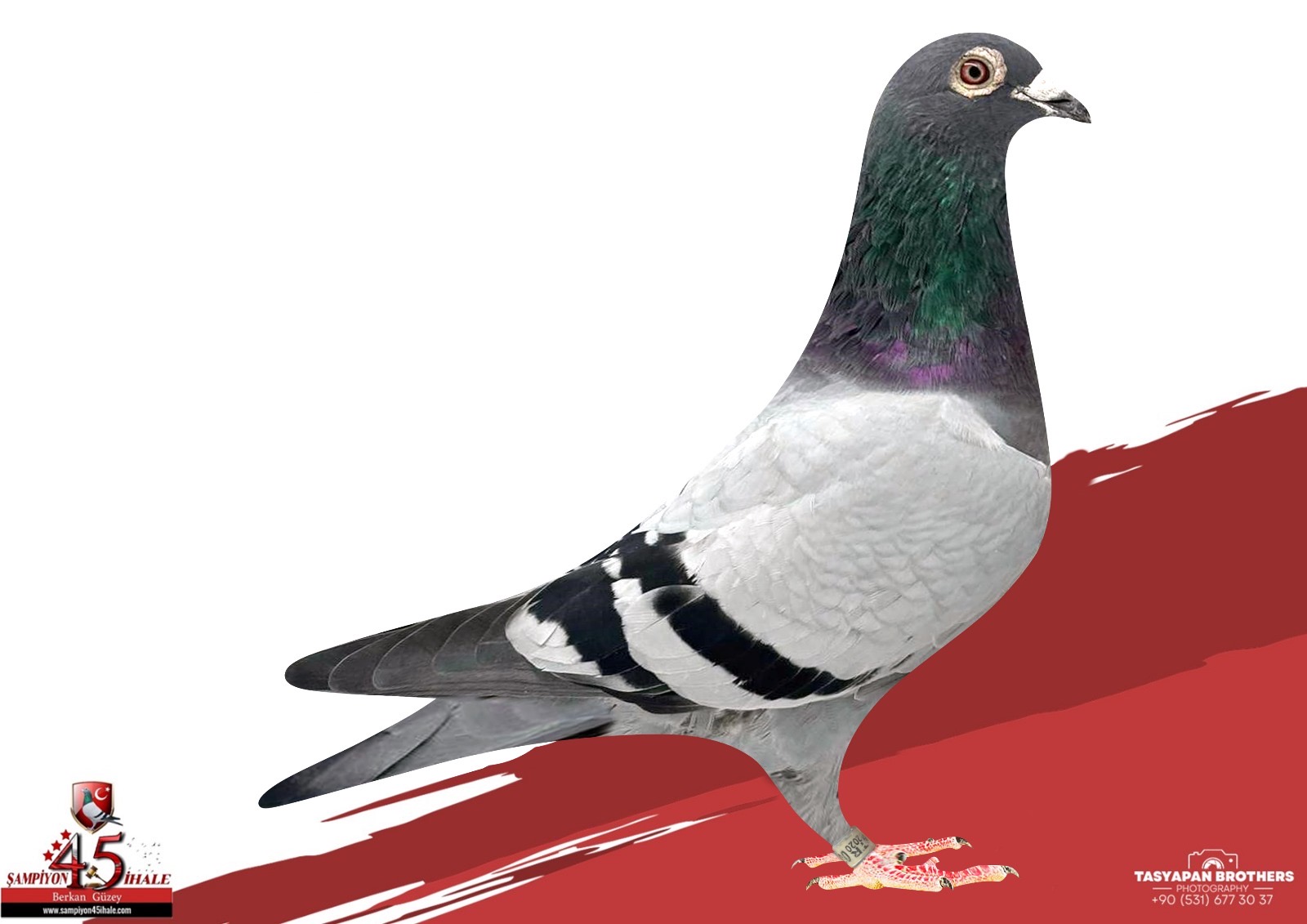 TR-20-004373 ORG BAYRAM YANIK VAN LOON 