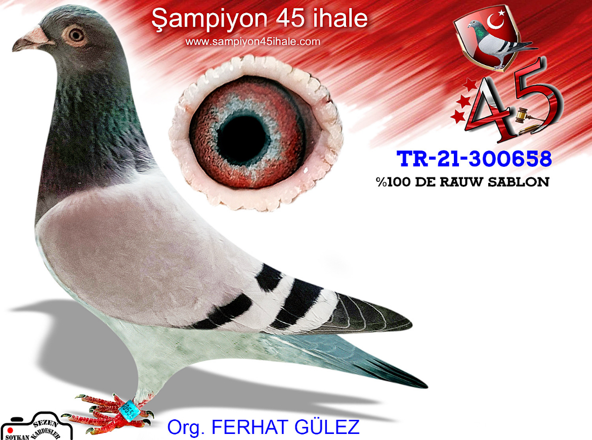 TR-21-300658 ERKEK