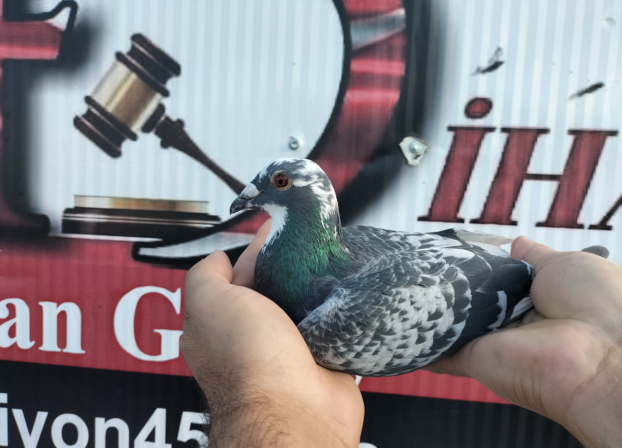 TR-25-21-05494 JOS SOONTJENS VAN DEN BULCK KİTTEL 