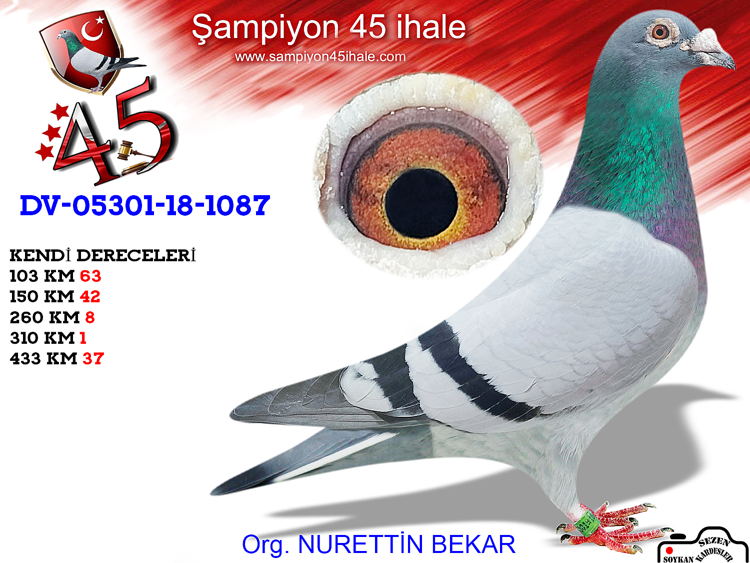 DV-0301-18-1087 ERKEK 