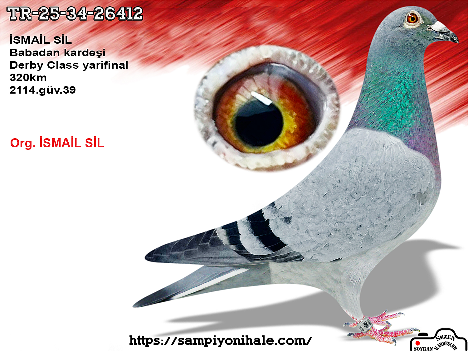 TR-25-34-26412 BABADAN KARDEŞİ DERBY CLASS 320 KM 39