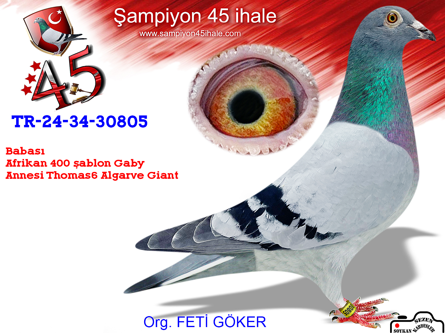 TR-24-34-30805 ERKEK 