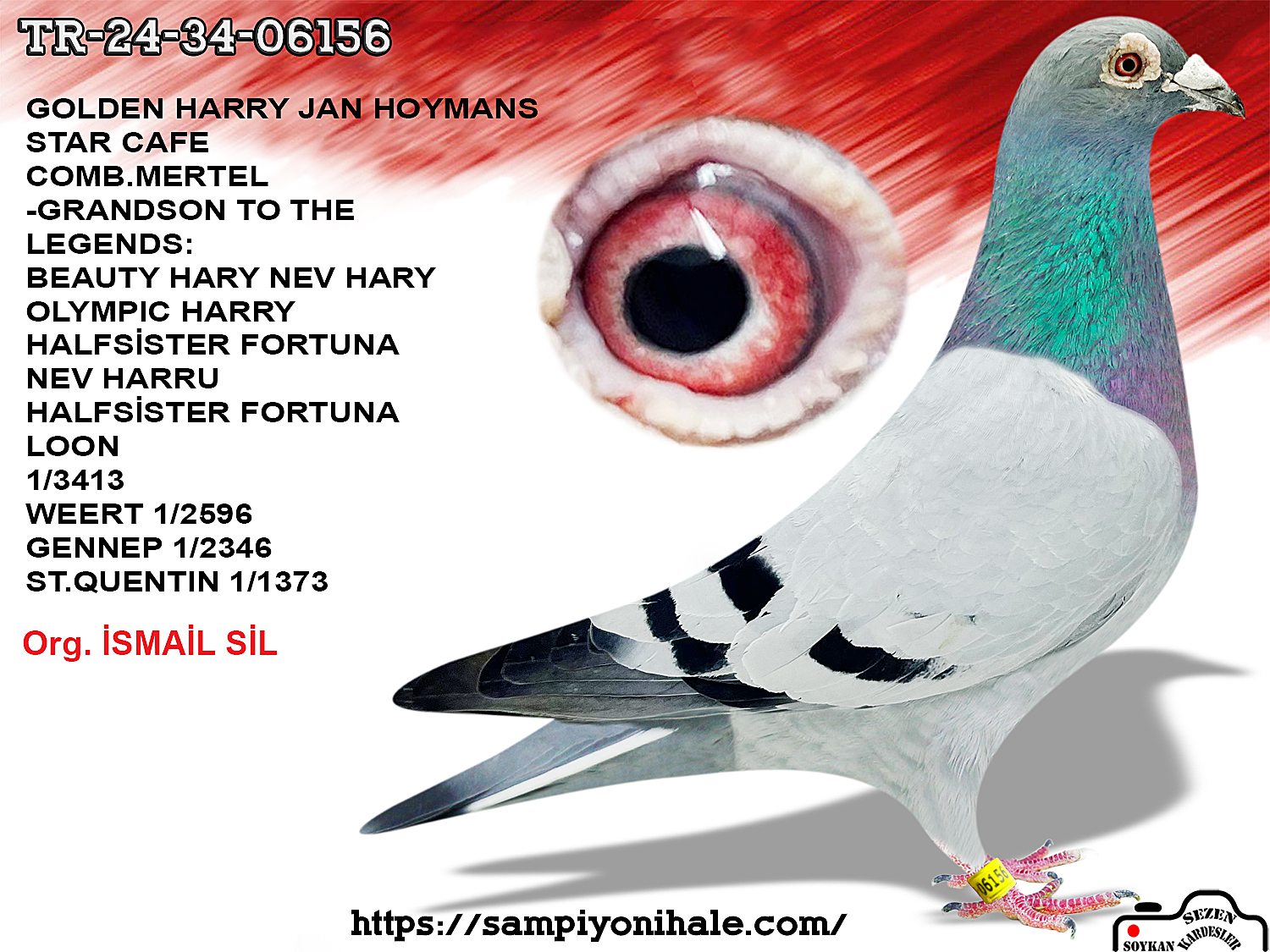 TR-24-34-06156 JAN HOOYMANS KİND JOSEF 