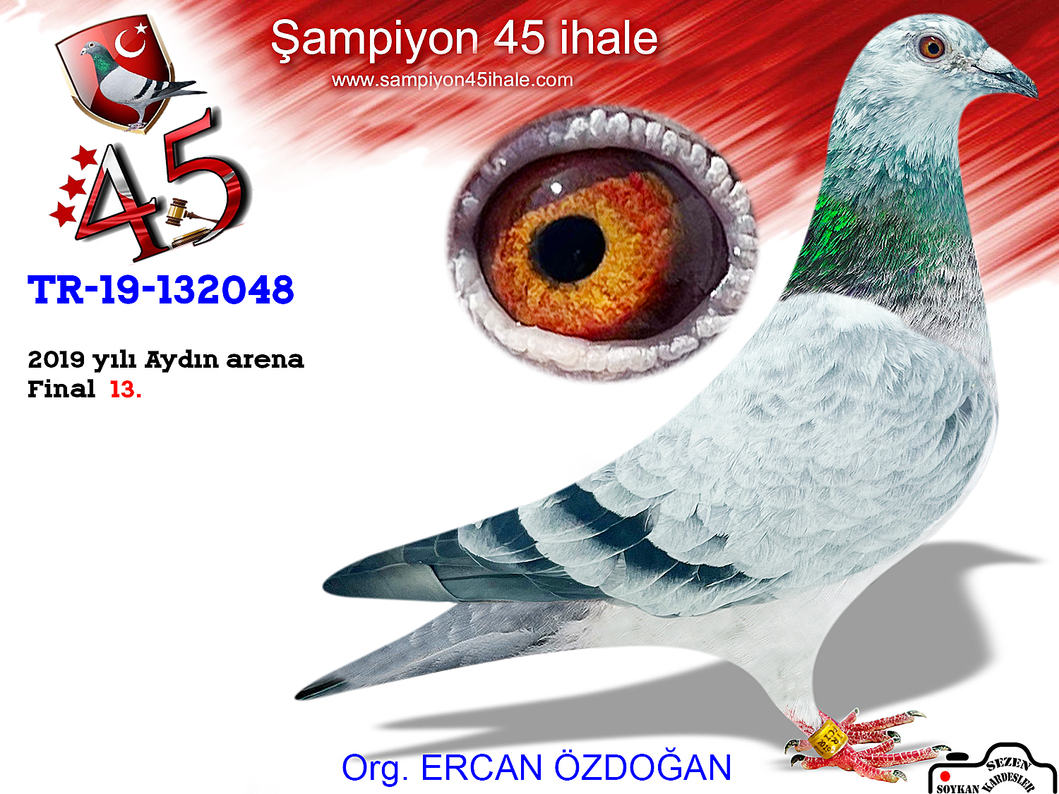 TR-19-132048 DİŞİ