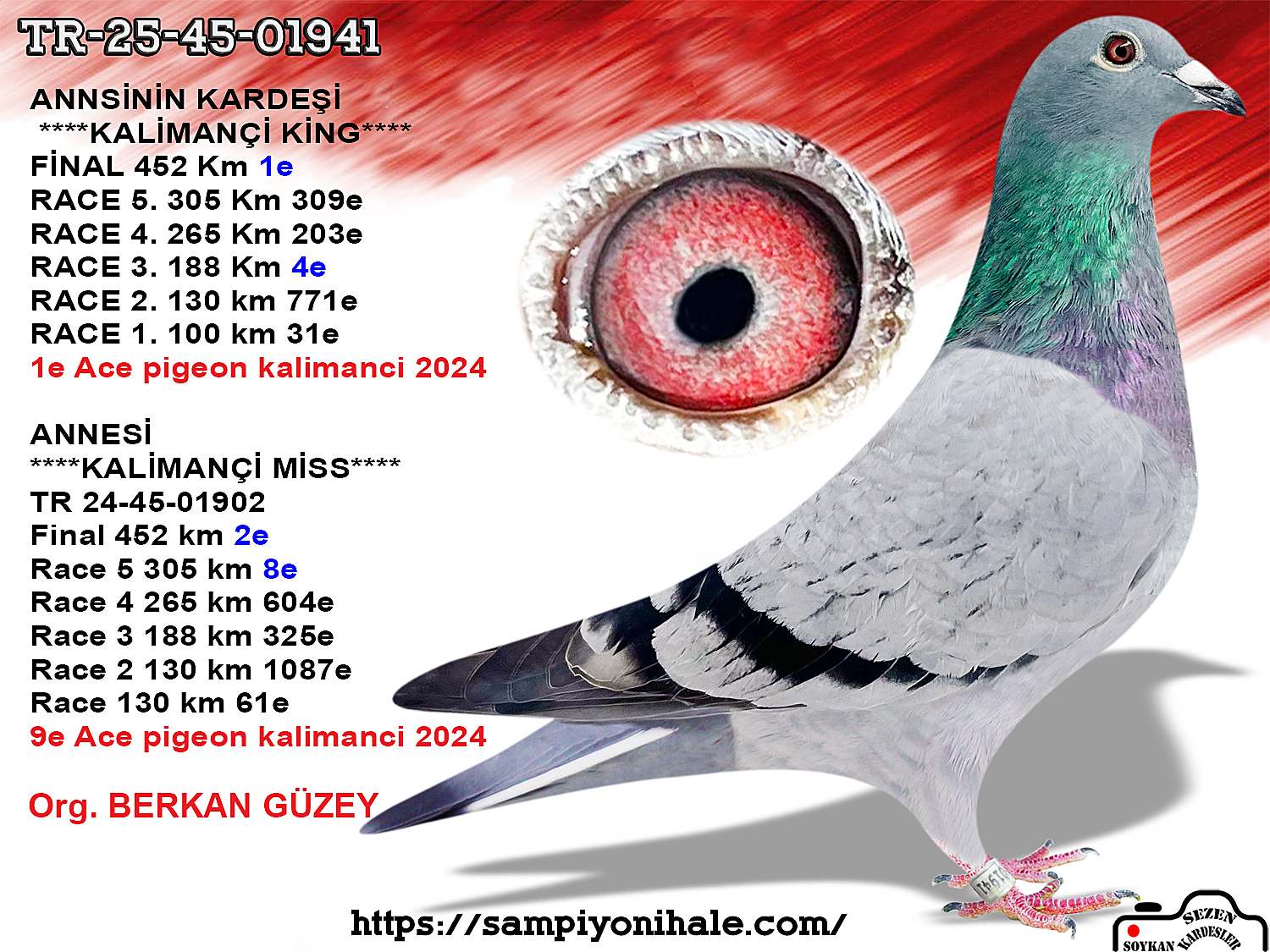 TR-25-45-01941 ANNESİ KALİMANÇİ MİSS FİNAL 2 ACE PİGEON 9