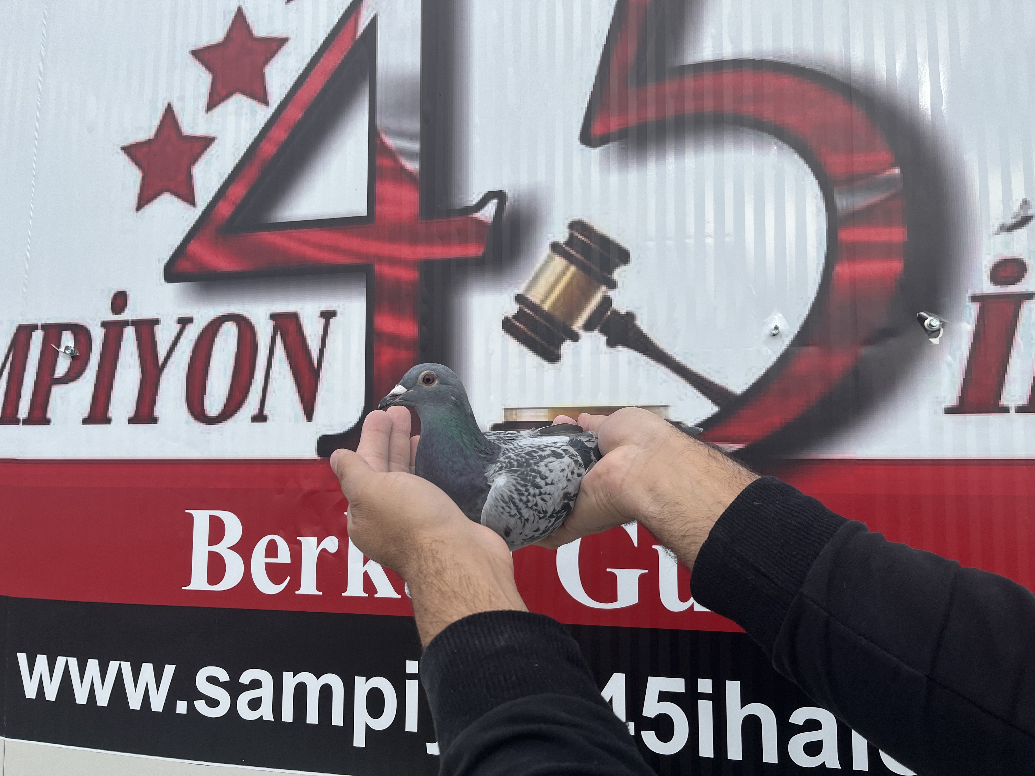 TR-24-45-07744 DİŞİ