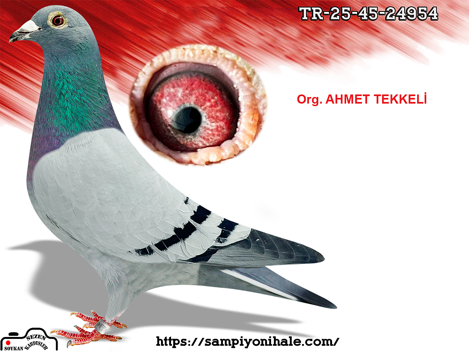TR-25-45-24954 ORG AHMET TEKKELİ SG STEFFL MESSİ 