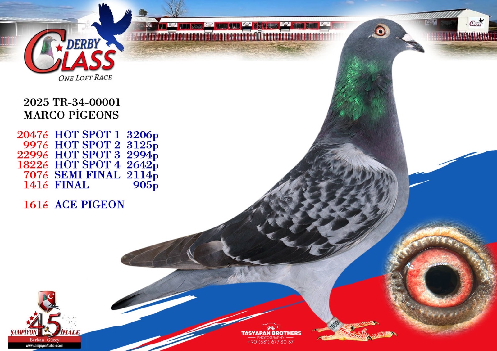 TR-34-00001 MARCO PİGEONS